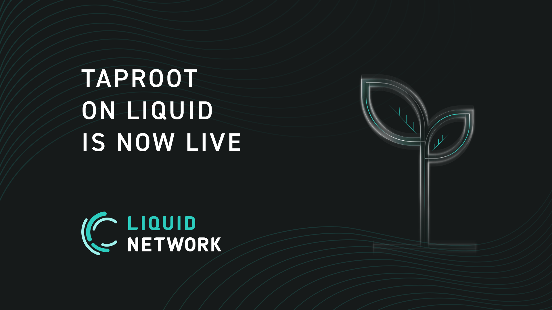 Taproot on Liquid is Now Live