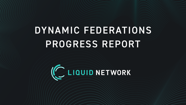 Dynamic Federations Progress Report