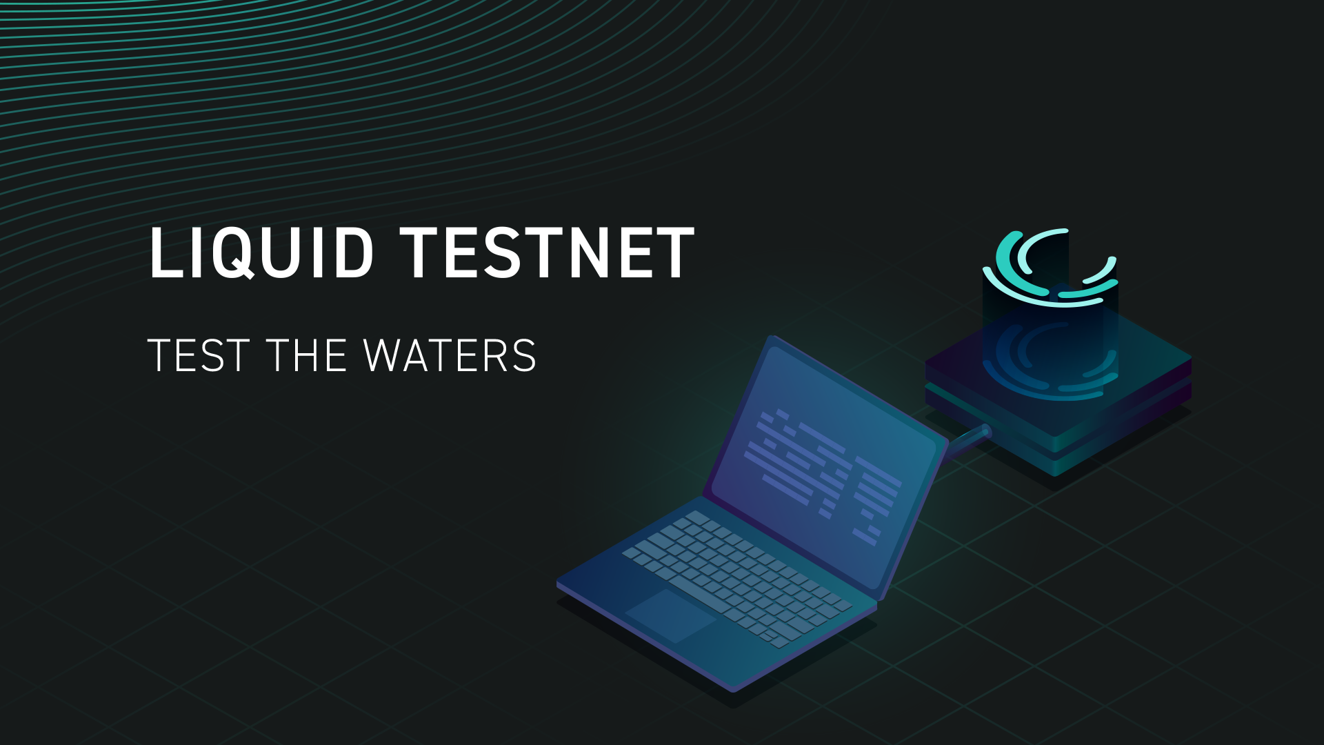 Liquid Testnet: Test the Waters